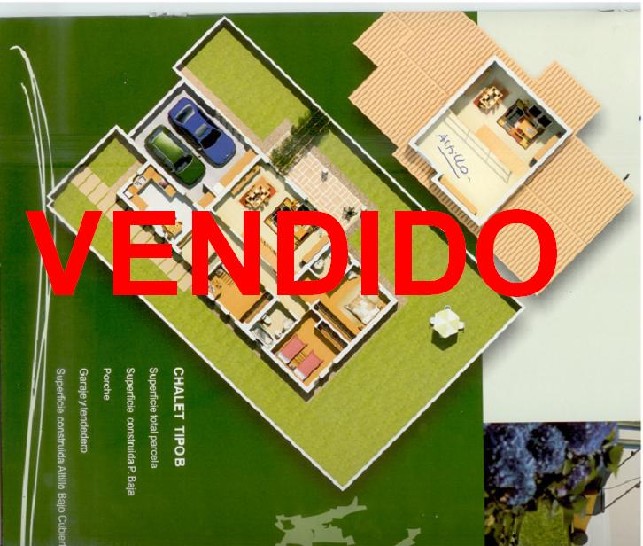 B_PROMO40 -   en  BERTAMIRANS