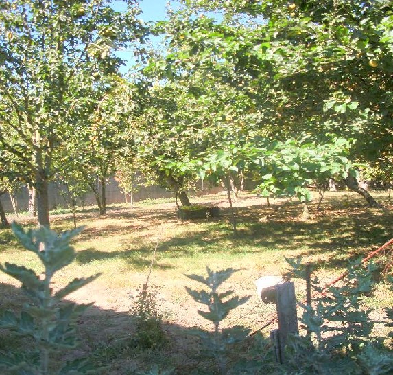 B_1039 -  Casa en  Teo