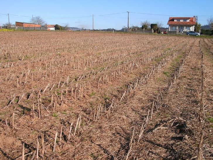 B_1118 -  URBANO en  BERTAMIRANS