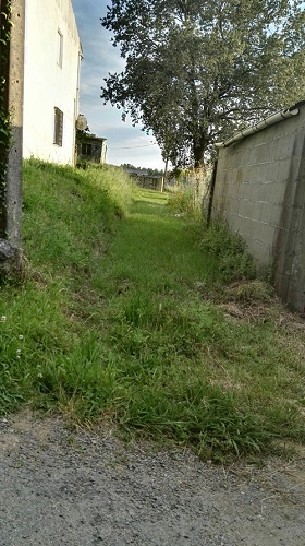 V_1129 -  URBANO en  Padr�n