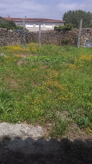 V_1202 -  Casa en  Vilagarcia de Arousa